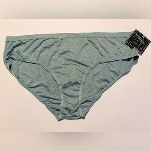 NWT Splendies/Wilshire Montana 4X Light Blue Jacquard Panties 🌿 | 5/$25 Bundle